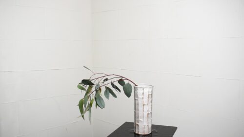 細葉ユーカリを入れる