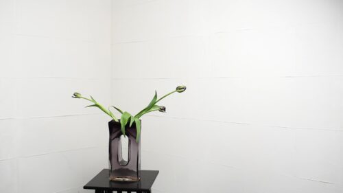 チューリップを入れる
