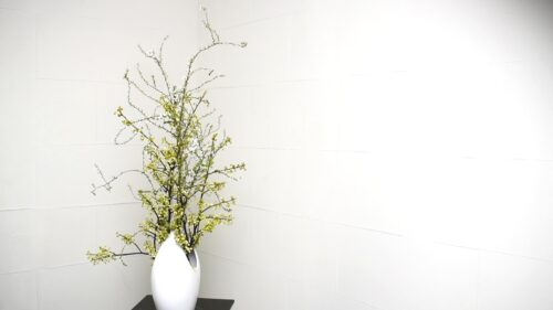 雪柳を足す