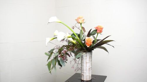 細葉ユーカリを足す