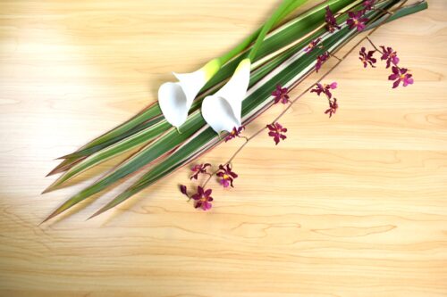 今回の花材