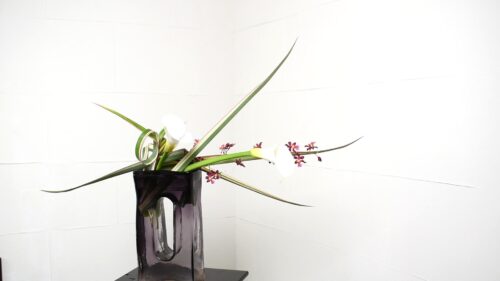 ニューサイランを追加する