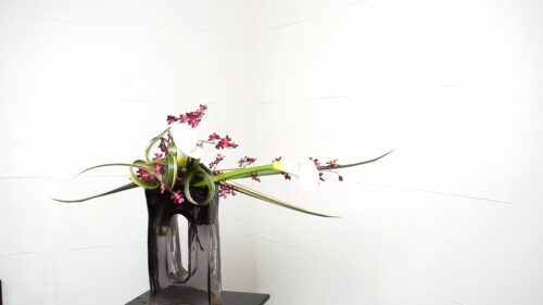 ニューサイランを修正する