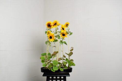 ひまわりの生け花