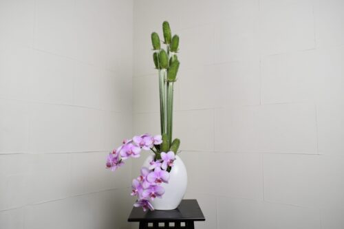 チーゼルと胡蝶蘭の 生け花