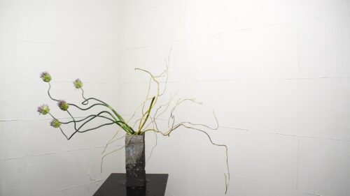 丹頂アリアムを入れる