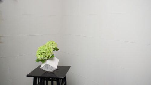アジサイを入れる