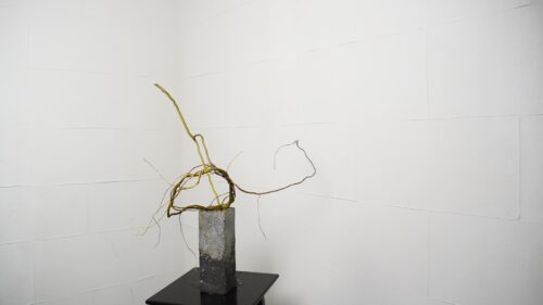 雲竜柳を入れる