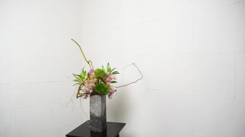 セルリアを入れる