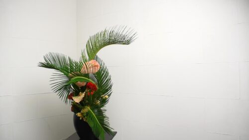 ソテツを追加する