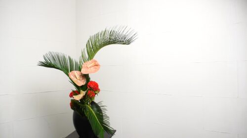 ケイトウを入れる