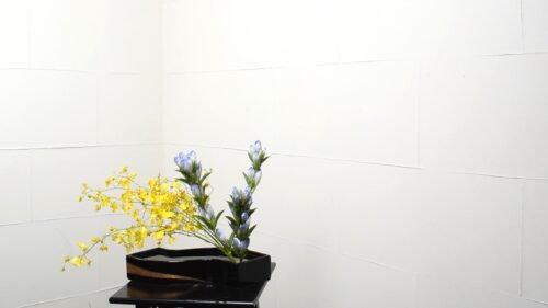 リンドウを入れる