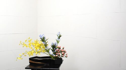 ヒペリカムをれる