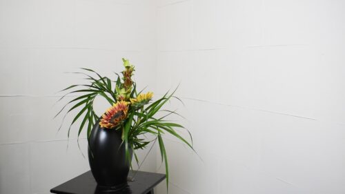 ひまわりを入れる