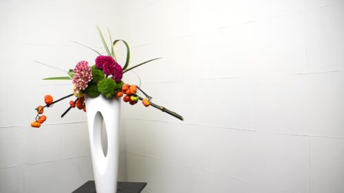 ニューサイランを入れる
