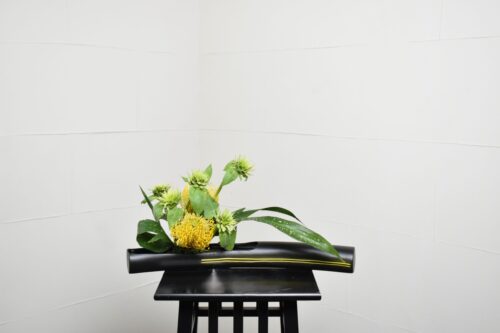 ピンクッションとひまわりのいけばな