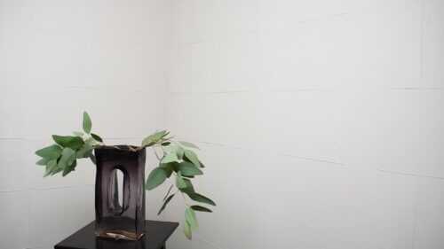 ユーカリを入れる