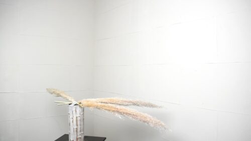 パンパスを生ける