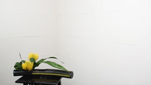 ハランを入れる