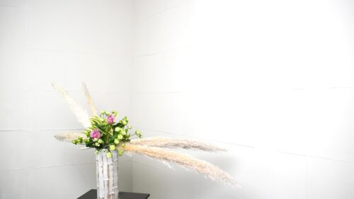 パンパスを追加する