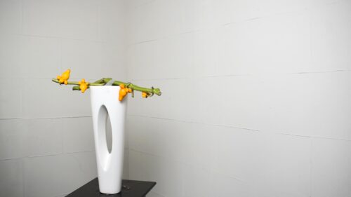 フォックスフェイスを入れる