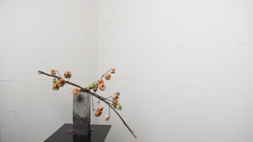 コットンフラワーを入れる