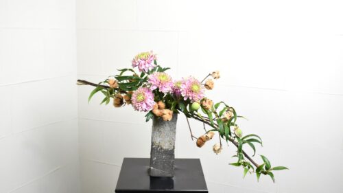 コットンフラワーのいけばな