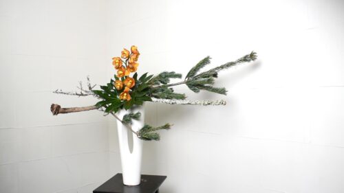 ヤツデを入れる