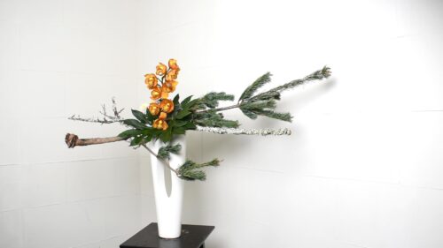 ピンポンマムを入れる