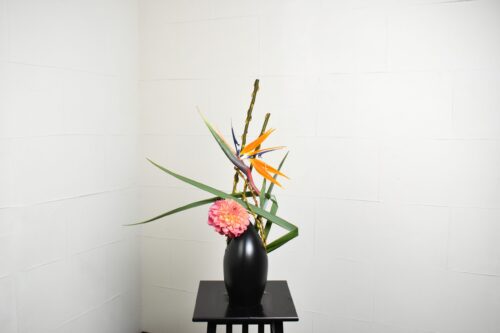 ダリアとストレリチアのいけばな