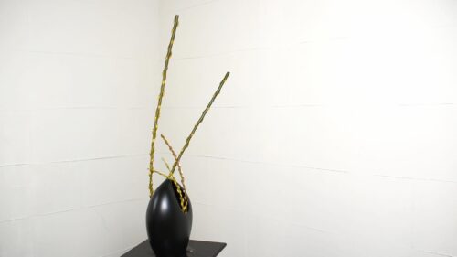 赤芽柳を入れる