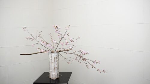 さくらを入れる