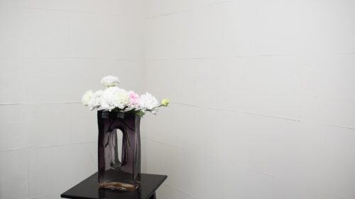 カーネーション