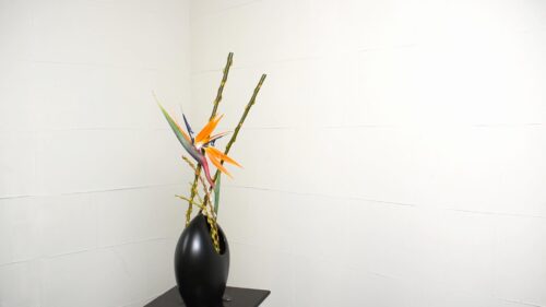 ストレリチアを入れる