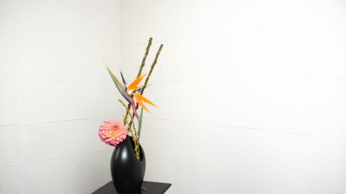 ダリアを入れる