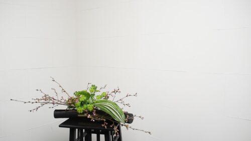 ブプレウルムを入れる