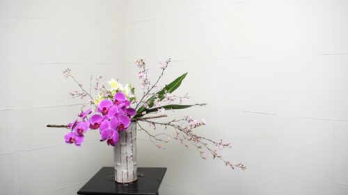 ハランを入れる