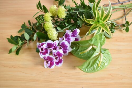 今回の花材