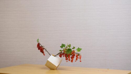 ふさすぐりを入れる