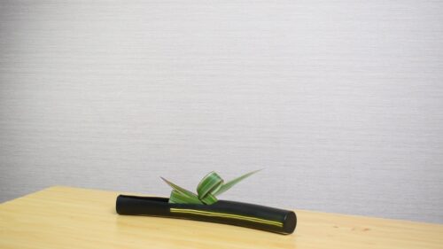 ニューサイランを入れる