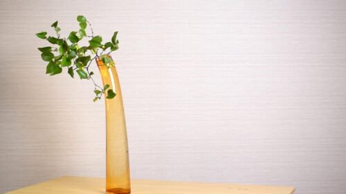 サンキライを入れる