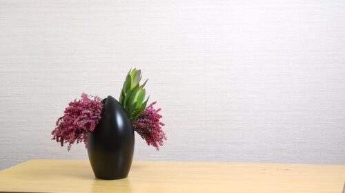 リューカデンドロンを入れる