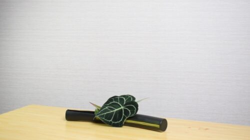 アンスリウムを入れる