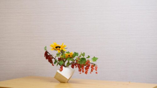 フサスグリを追加する