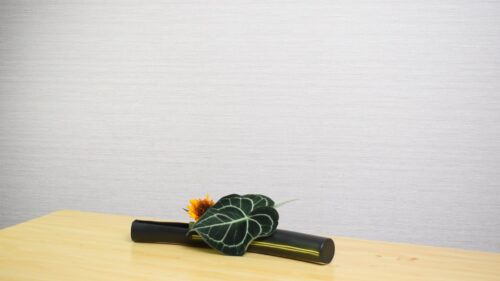 ひまわりを入れる