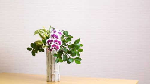 枝物を足す