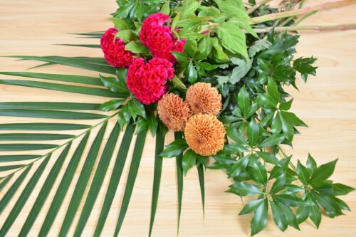 今回の花材