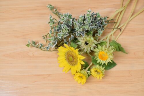今回の花材