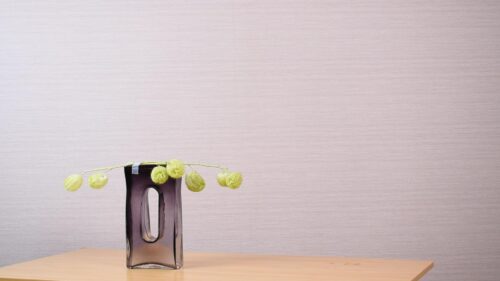 風船唐綿を置く