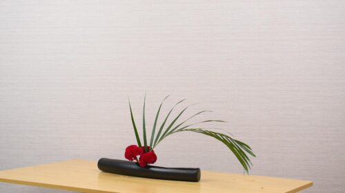 ケイトウ